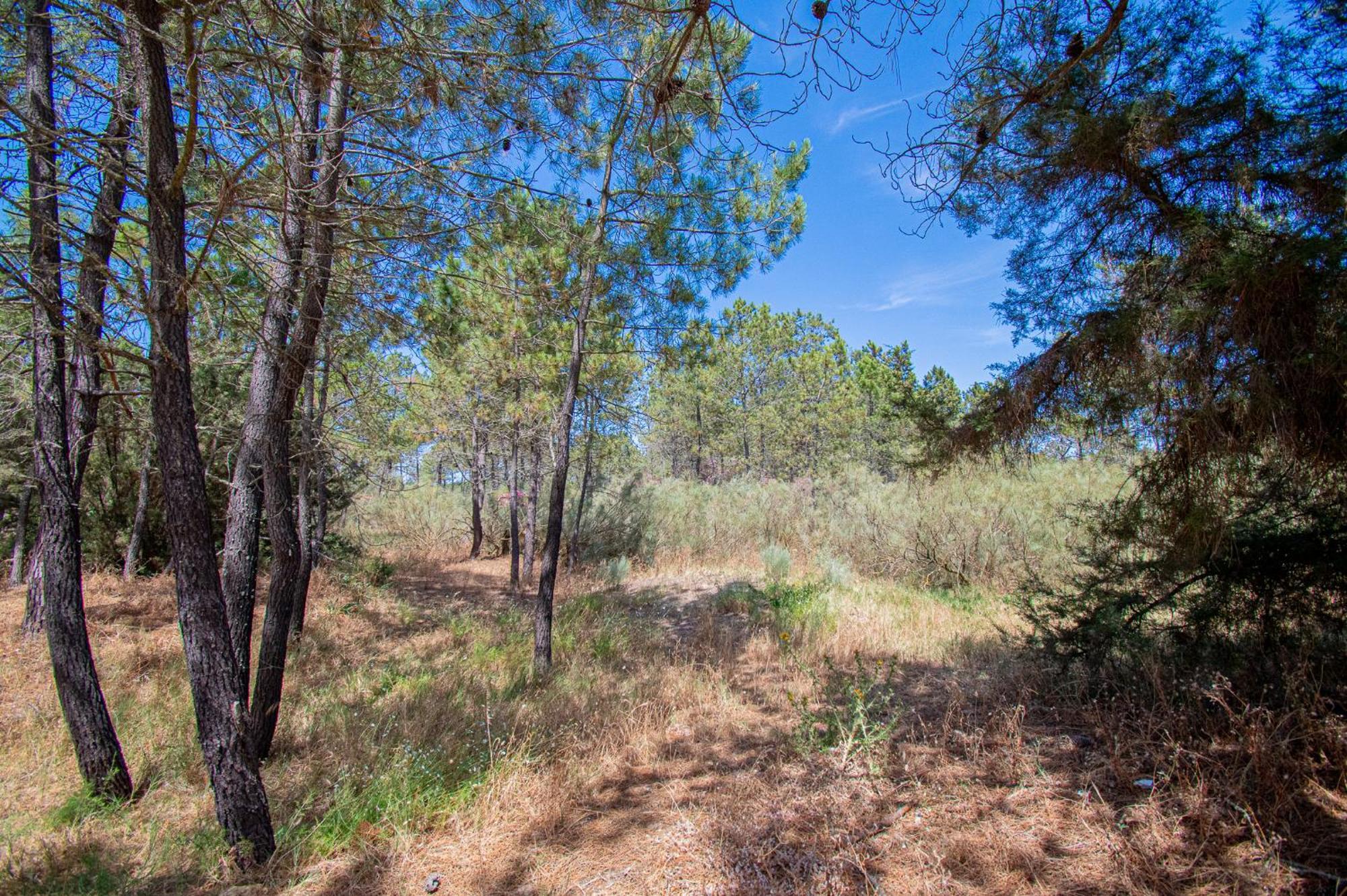 Ufitness Retreat Guesthouse Vila Real de Santo António Zewnętrze zdjęcie
